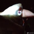 我的相册